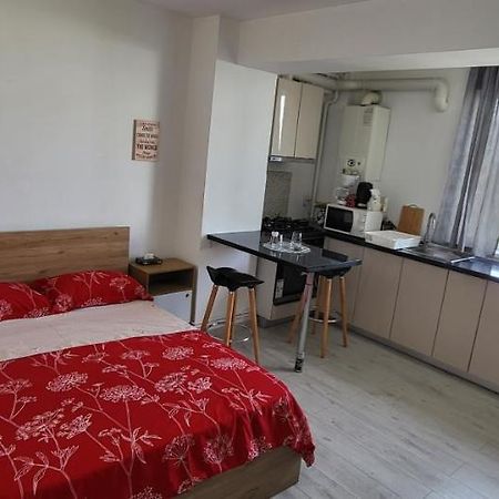 Self Check-In Studio 22 Bulevardul Oltenia Craiova Luaran gambar