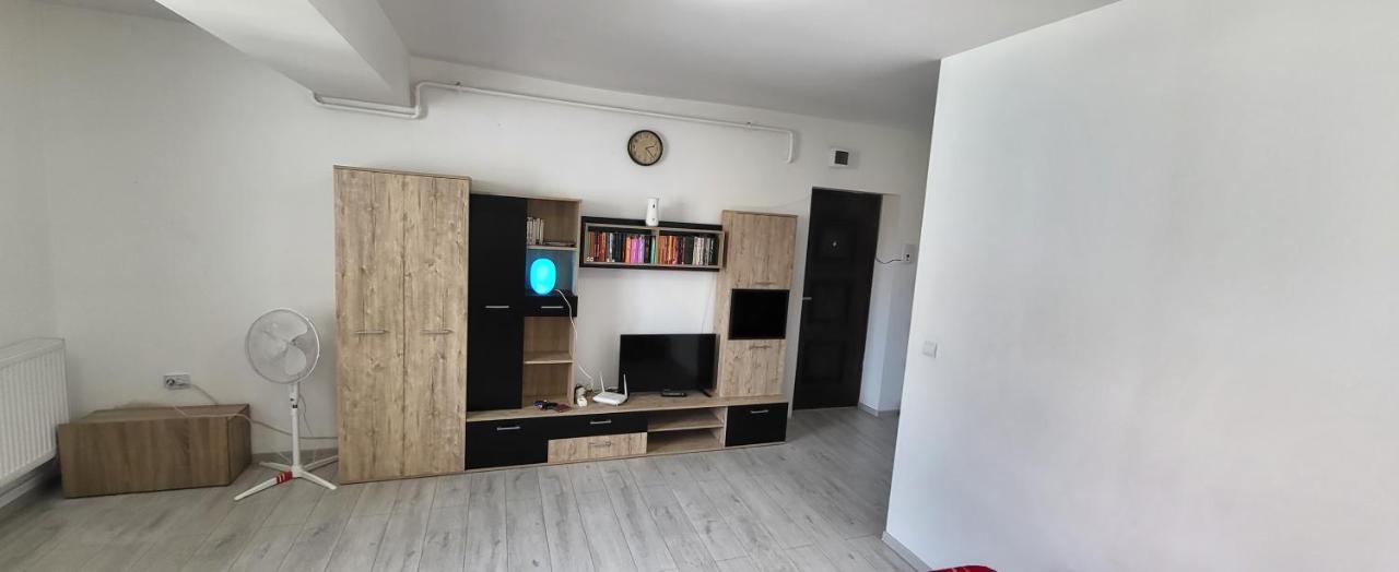 Self Check-In Studio 22 Bulevardul Oltenia Craiova Luaran gambar