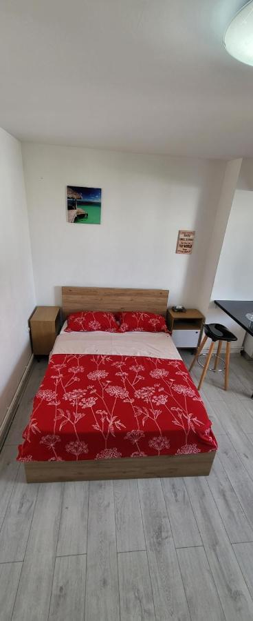 Self Check-In Studio 22 Bulevardul Oltenia Craiova Luaran gambar