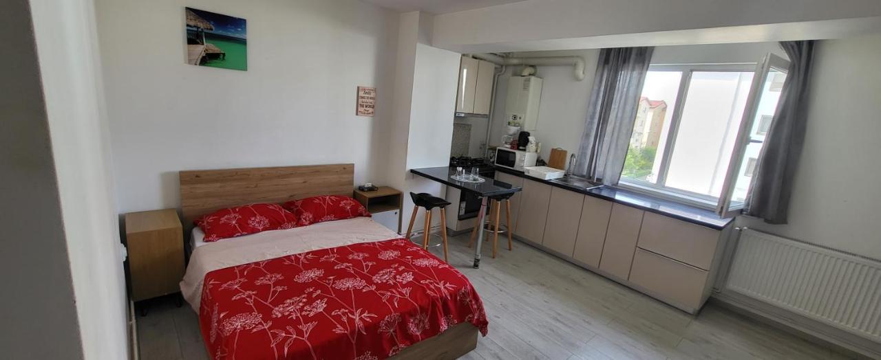 Self Check-In Studio 22 Bulevardul Oltenia Craiova Luaran gambar