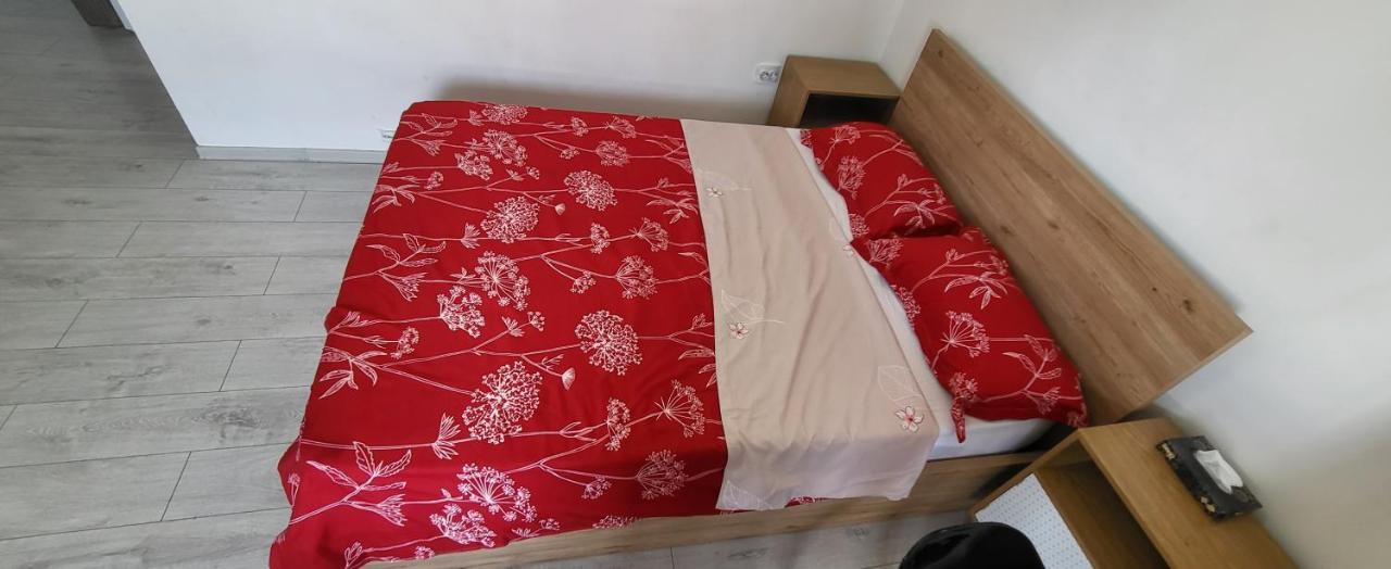 Self Check-In Studio 22 Bulevardul Oltenia Craiova Luaran gambar