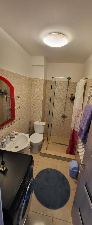 Self Check-In Studio 22 Bulevardul Oltenia Craiova Luaran gambar